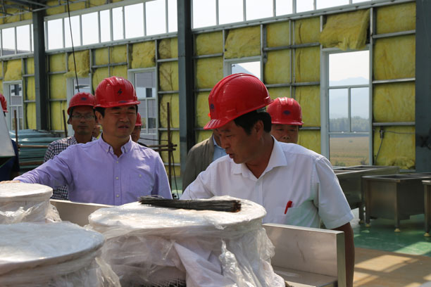 ƽȪ����ί��ǵ���ŷ�����Ӳ�