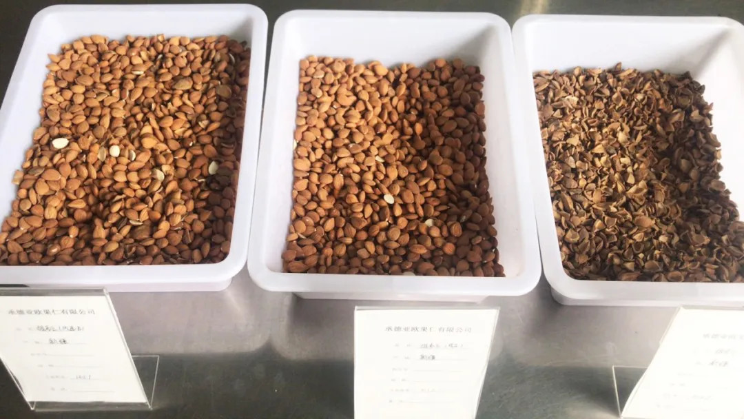 �й���7790�ط�����(�ɷ�)���޹�˾-�ٷ���վ