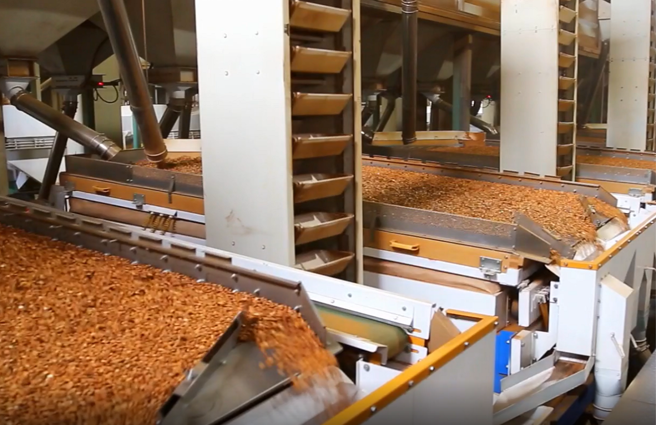 �����ƺ�