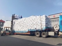 ����ʱ����í�㾢ͷ�����ƶ���